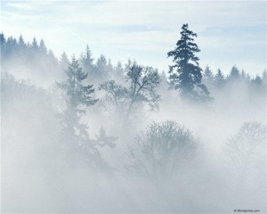 зимний туман