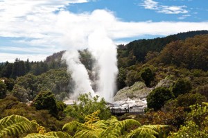 Гейзер в Новой Зеландии2