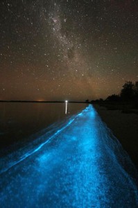 Биолюминесцентное озеро