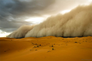 Песчаная буря в пустыне поднимает тонны пыли
